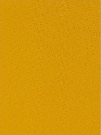 DG-SNSE  SW283-6X  47％POLYESTER+53％UV WICKING YARN   195G/Y 正面照